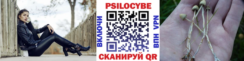 Галлюциногенные грибы мицелий  Артёмовский 